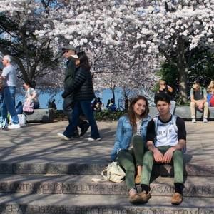 Meet your Posher, Pablo